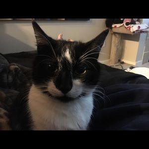 Meet your Posher, Freddy